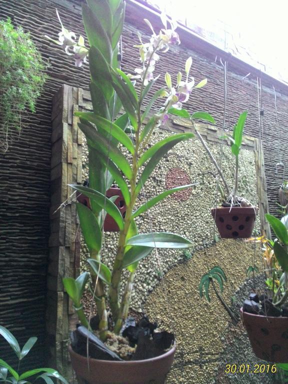 Manh Hung Hotel Buon Ma Thuot Exterior photo